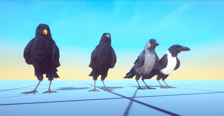 Ravens and Crow Eyecatch